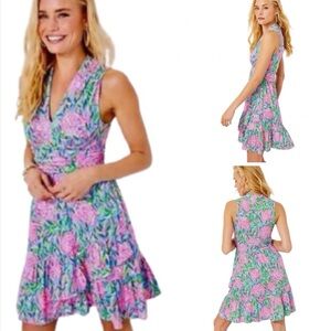 Lilly Pulitzer Annalise V-Neck Dress Frenchie Blue Turtley In Love Large NWT